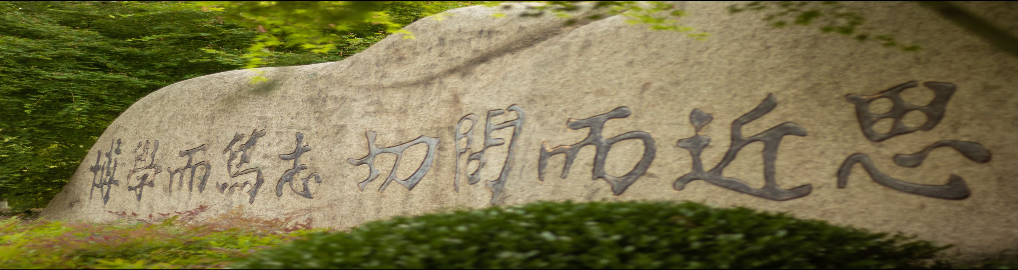 Fudan University Logo 2