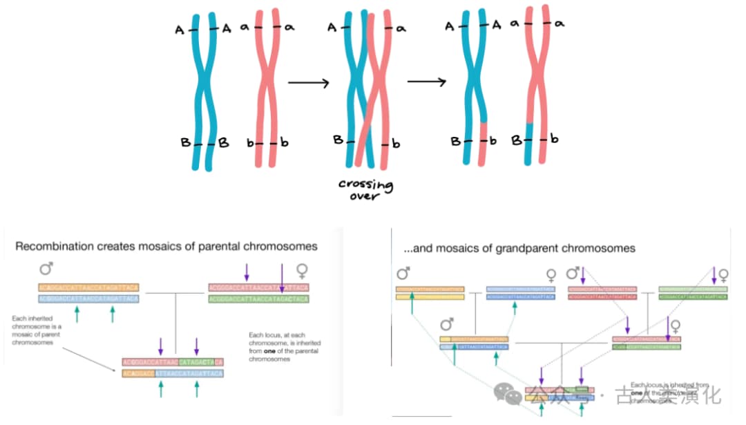 Descriptive text for the image