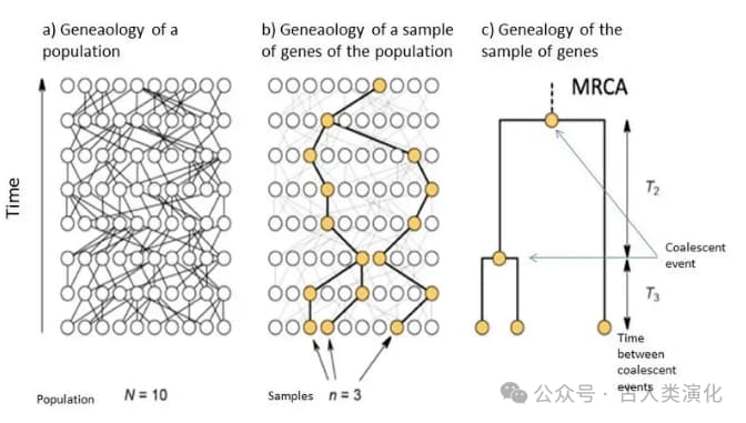 Descriptive text for the image