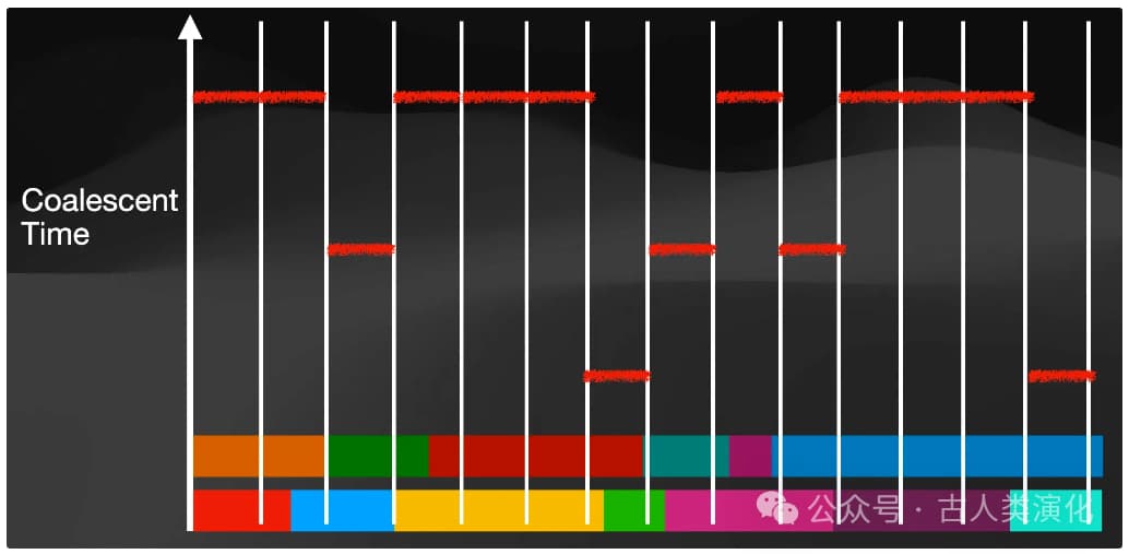 Descriptive text for the image