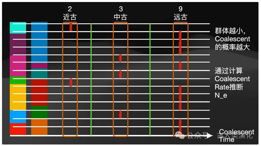 Descriptive text for the image