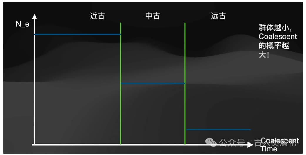 Descriptive text for the image