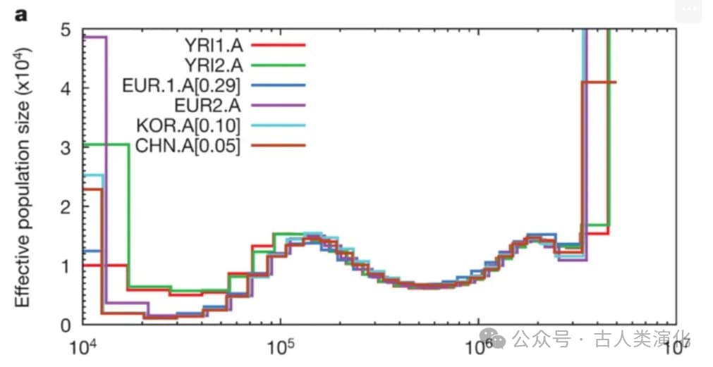 Descriptive text for the image